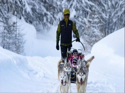 Holiday park Chalet am Hang in Vars - Environment photo 32