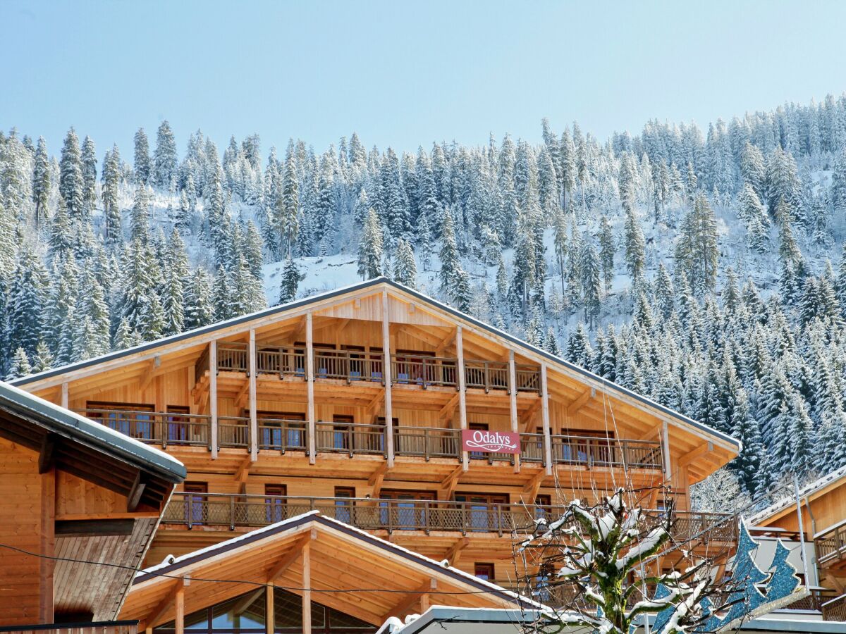 Holiday park Chalet in Chatel by Super Chatel Gondola