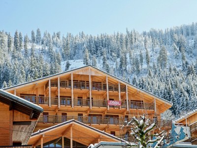 Holiday park Chalet in Chatel by Super Chatel Gondola in Châtel - Holiday park
