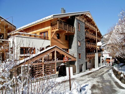 Holiday park Chalet in Chatel by Super Chatel Gondola - Outdoor photo 7