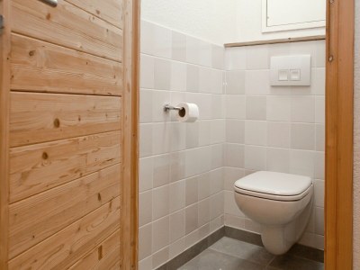 Holiday park Chalet in Chatel by Super Chatel Gondola - Features photo 14