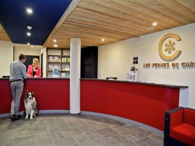 Holiday park Chalet in Chatel by Super Chatel Gondola - Features photo 22