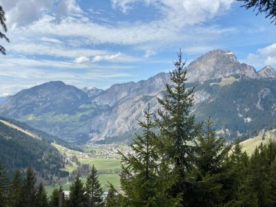 Holiday park Chalet in Chatel by Super Chatel Gondola - Environment photo 24