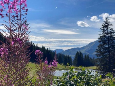 Holiday park Chalet in Chatel by Super Chatel Gondola - Environment photo 30