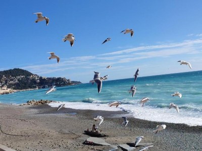 Holiday park Apartment in Nice near the Promenade des Anglais - Environment photo 20