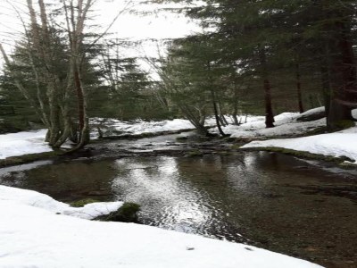 Holiday park Apartment in France with Heated Pool & Wellness - Environment photo 29