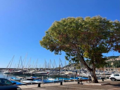 Holiday park Wohnung in Nizza im ehemaligen Hotel - Environment photo 31