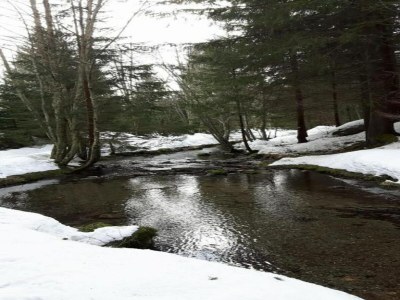 Holiday park Alpine Escape w/ Pool & Views - Environment photo 24