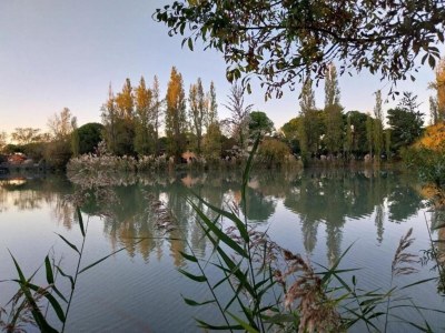 Holiday park Resort in Arles mit Pools nahe Camargue - Environment photo 21