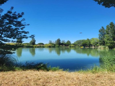 Holiday park Resort in Arles mit Pools nahe Camargue - Environment photo 24