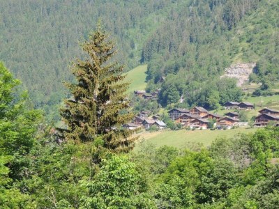 Holiday park Cosy Ski Apartment w/ Pool - Environment photo 29