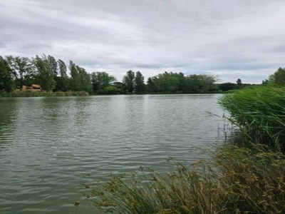 Holiday park Resort in Arles mit Pools nahe Camargue - Environment photo 13