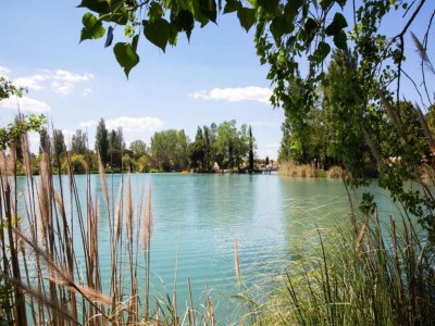 Holiday park Resort in Arles mit Pools nahe Camargue - Environment photo 14