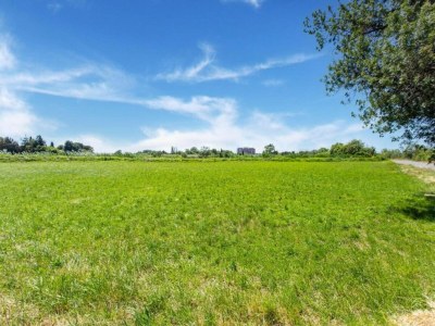 Holiday park Resort in Arles mit Pools nahe Camargue - Environment photo 15