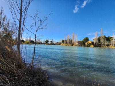 Holiday park Resort in Arles mit Pools nahe Camargue - Environment photo 17
