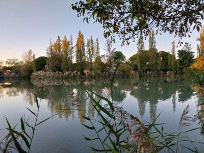 Holiday park Resort in Arles mit Pools nahe Camargue - Environment photo 22