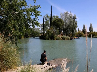 Holiday park Resort in Arles mit Pools nahe Camargue - Environment photo 27