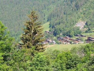 Holiday park Apartment in Evian near Lake Geneva - Environment photo 20