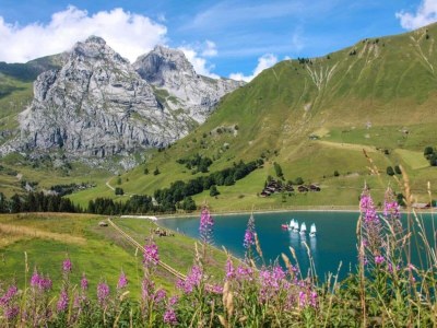 Holiday park Chalet Apartment by Lake Geneva, Evian - Environment photo 20