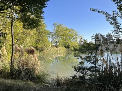 Holiday park Resort in Arles near Camargue Flamingos - Environment photo 23