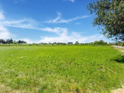 Holiday park Resort in Arles near Camargue Flamingos - Environment photo 30