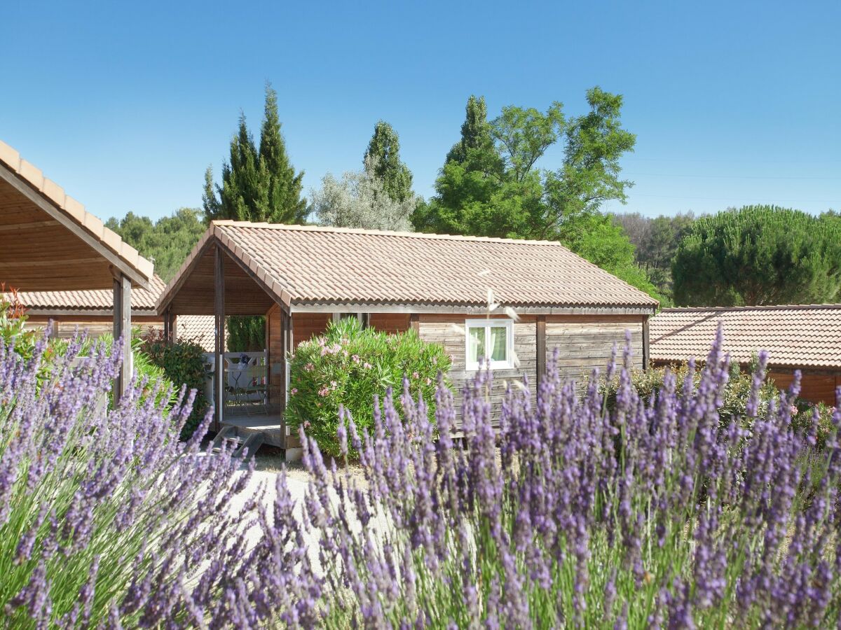 Holiday park Chalet in Provence with Shady Pine Retreat - Outdoor photo 3