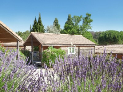 Holiday park Chalet in Provence with Shady Pine Retreat - Outdoor photo 3