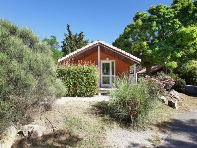 Holiday park Chalet in Provence with Shady Pine Retreat - Outdoor photo 4