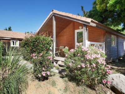 Holiday park Chalet in Provence with Shady Pine Retreat - Outdoor photo 5