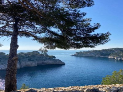 Holiday park Chalet in Provence with Shady Pine Retreat - Environment photo 15