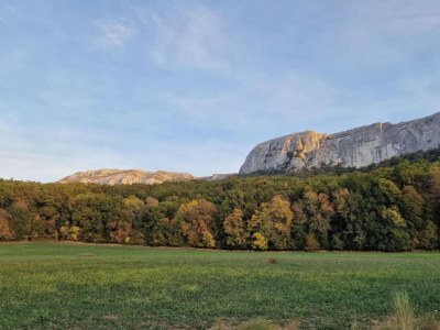 Holiday park Chalet in Provence with Shady Pine Retreat - Environment photo 18