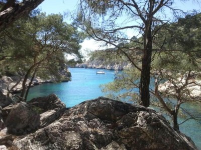 Holiday park Chalet in Provence with Shady Pine Retreat - Environment photo 19