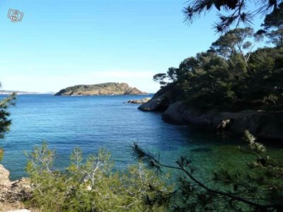 Holiday park Chalet in Provence with Shady Pine Retreat - Environment photo 20