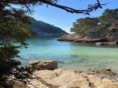 Holiday park Chalet in Provence with Shady Pine Retreat - Environment photo 21