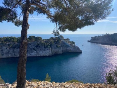 Holiday park Chalet in Provence with Shady Pine Retreat - Environment photo 23