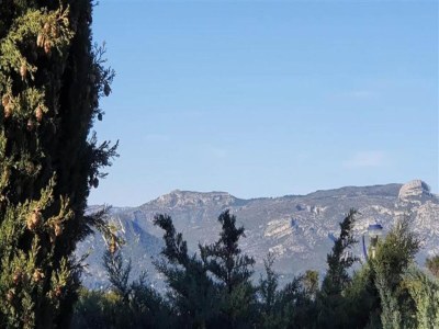 Holiday park Chalet in Provence with Shady Pine Retreat - Environment photo 34