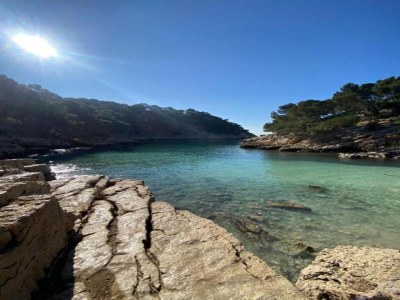 Holiday park Chalet in Provence with Shady Pine Retreat - Environment photo 35