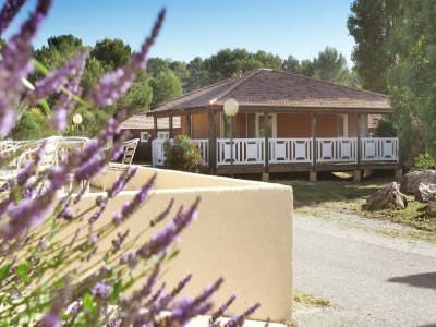 Holiday park Chalet in Provence with Shady Pine Retreat - Outdoor photo 40