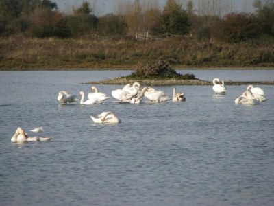Holiday park Charmantes Haus in Strandnähe - Environment photo 21