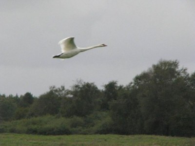 Holiday park Charmantes Haus in Strandnähe - Environment photo 35