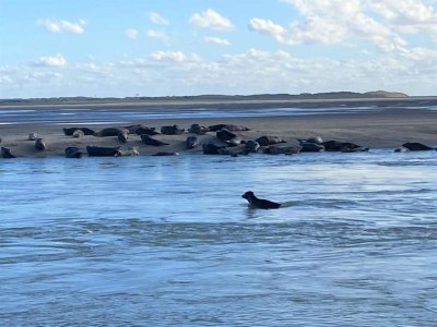 Holiday park Charmantes Haus in Strandnähe - Environment photo 37