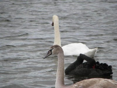 Holiday park Charmantes Haus in Strandnähe - Environment photo 49