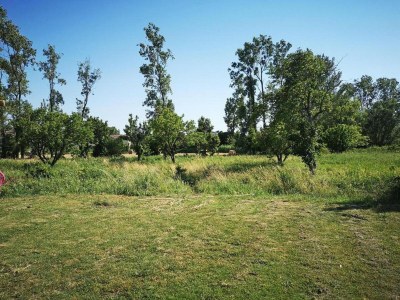 Holiday park Gemütliches Landhaus in Les Alpilles - Environment photo 18