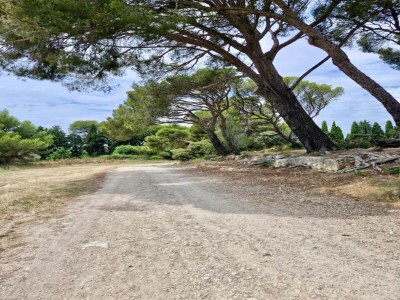 Holiday park Gemütliches Landhaus in Les Alpilles - Environment photo 27
