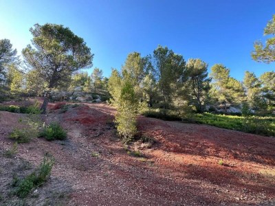 Holiday park Gemütliches Landhaus in Les Alpilles - Environment photo 28
