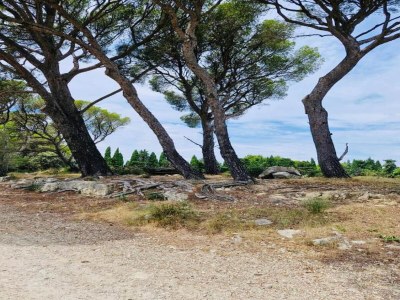 Holiday park Gemütliches Landhaus in Les Alpilles - Environment photo 33