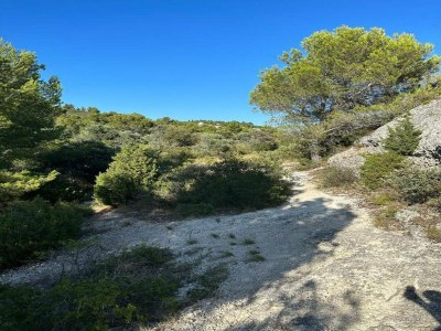 Holiday park Wohnung in Le Paradou mit Pool & Sauna - Environment photo 18