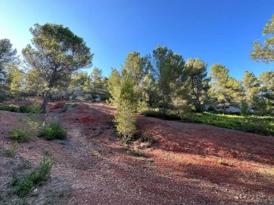 Holiday park Wohnung in Le Paradou mit Pool & Sauna - Environment photo 24