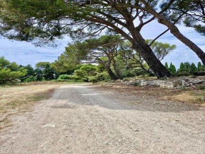 Holiday park Wohnung in Le Paradou mit Pool & Sauna - Environment photo 26