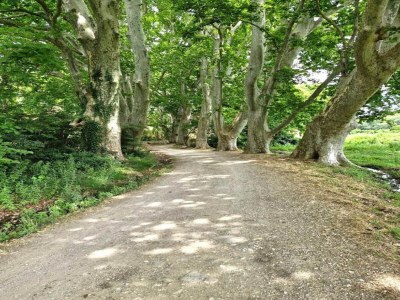 Holiday park Wohnung in Le Paradou mit Pool & Sauna - Environment photo 28